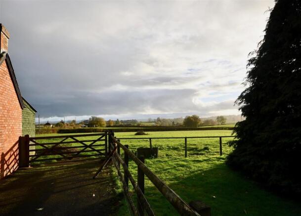 Field