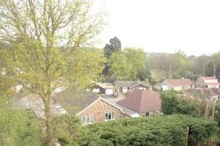 View From Bedroom