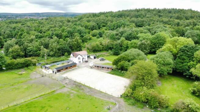 thumbnail_image0 (1).jpg