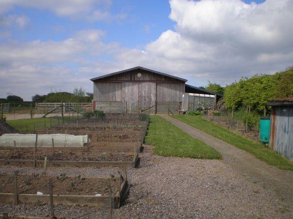Vegetable garden