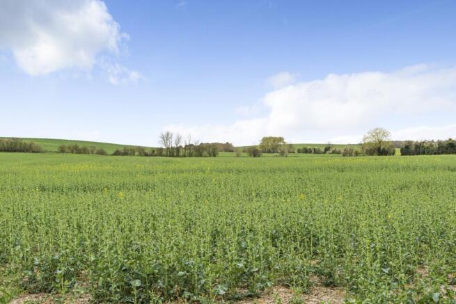 Field views