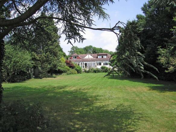 Rear in Summer