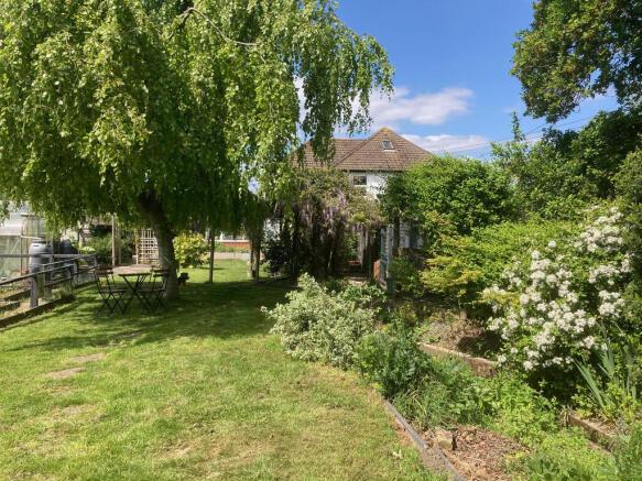 garden 11