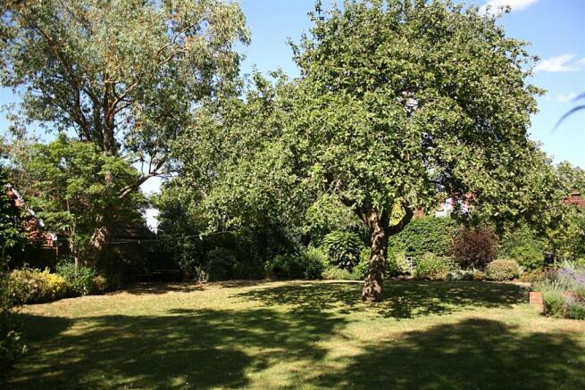 garden4.jpg