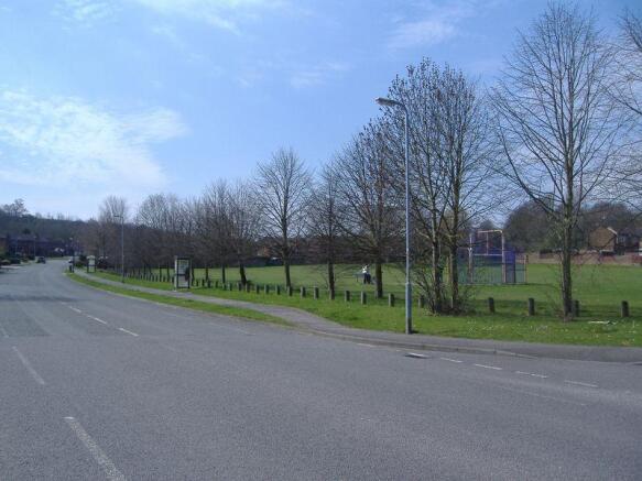 Stefen Hill views