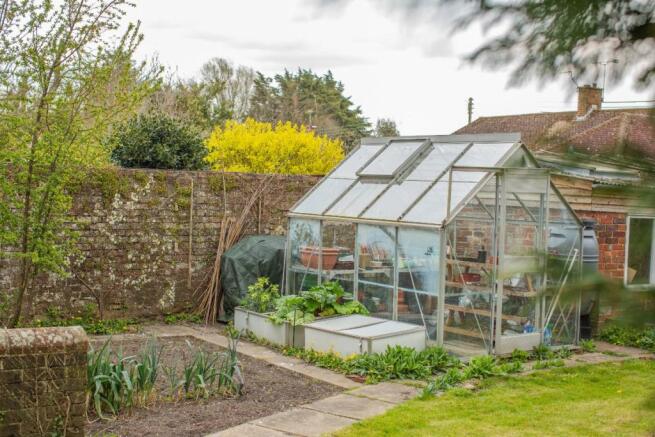 Vegetable patch & gr