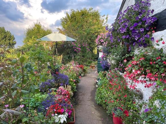 Delightful cottage garden