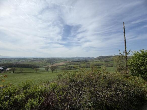 IMG 7960  1  T202604231612.jpg