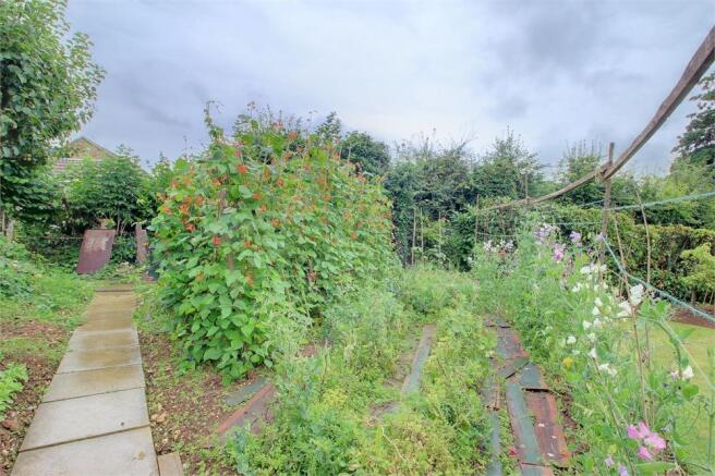 Photograph 3