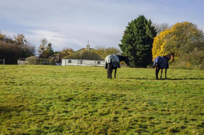 Grounds