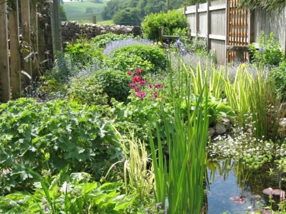 Back Garden