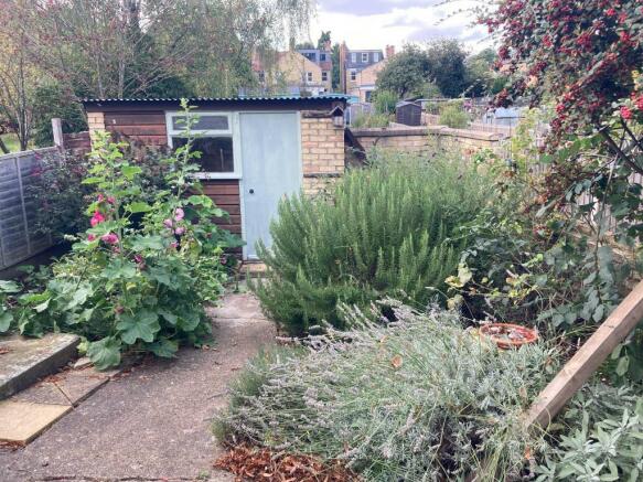 garden.jpg