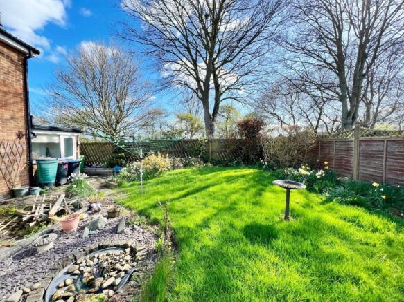 Garden pic 5.jpg