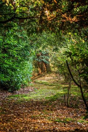 house. estate agency Frensham 7 The Grange