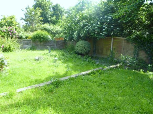 Garden.JPG