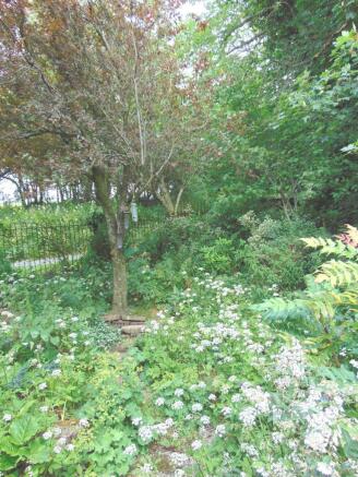 Photo 22