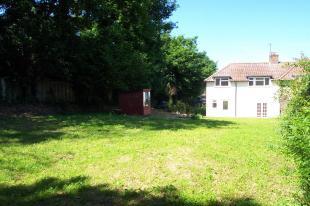 Rear of Property