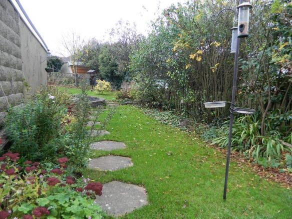 Garden Pic 1