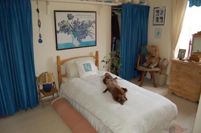 Photo 15