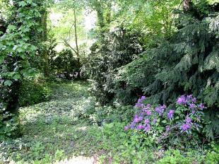 Woodland