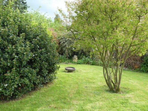 Photo 11