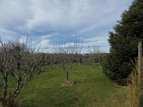 Orchard