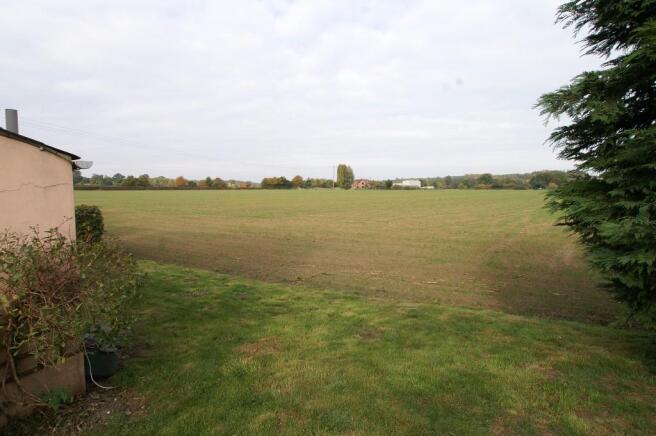 Field View