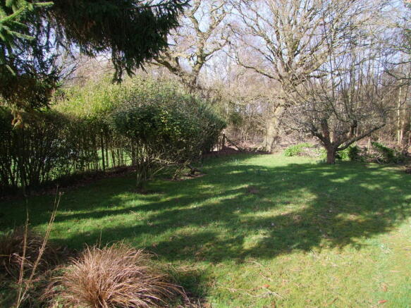 Photo 11
