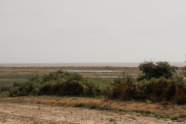 307370 - Seagulls, Walberswick-46.jpg