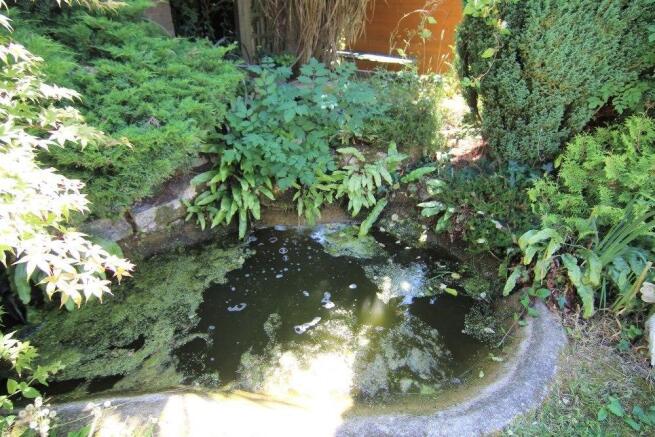 Water Feature