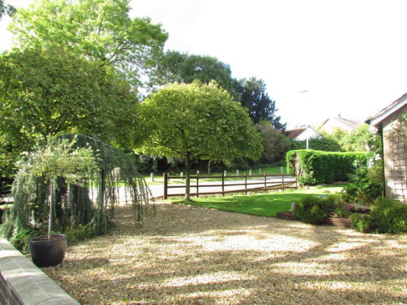 Photo 5