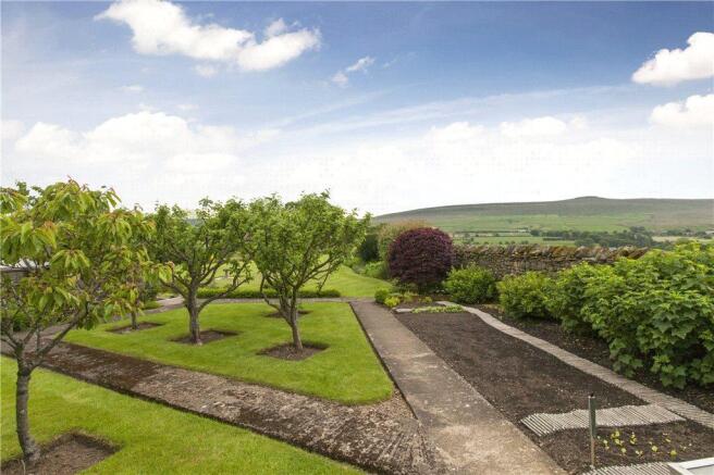 Orchard