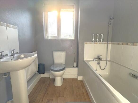 Picture 8