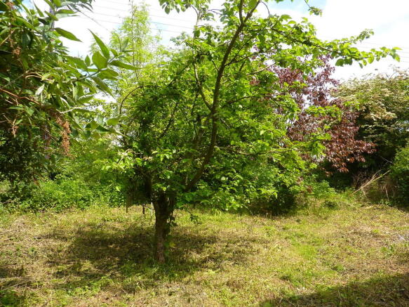 Photo 15