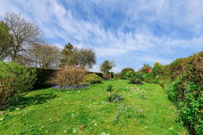 Back Garden.jpg