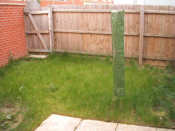 Back Garden