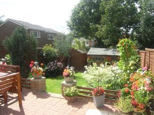 Photo 7