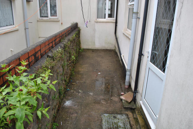 Back garden