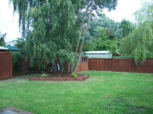 GOOD SIZE GARDEN