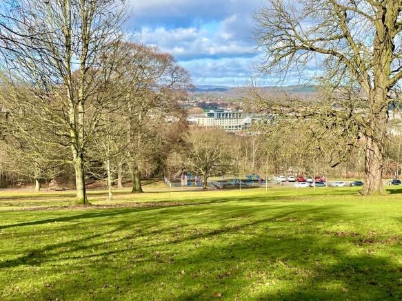 Parkland views