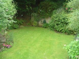 Rear Garden 3