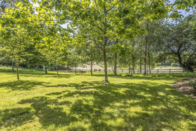 Former Orchard