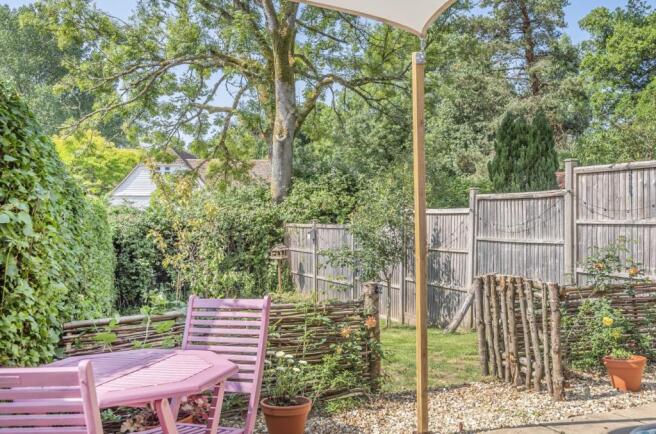 South Facing Garden