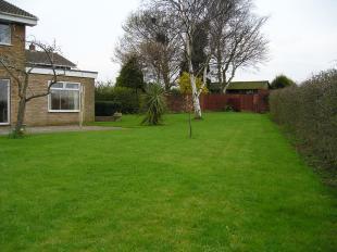 Rear garden2