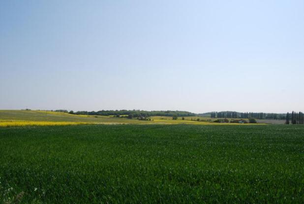 Picture No.18