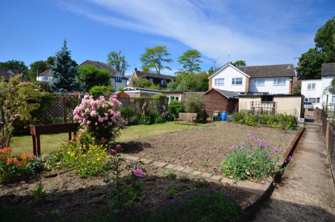 Sunny aspect garden
