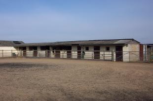 Stables