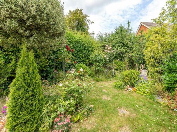 Back garden 1