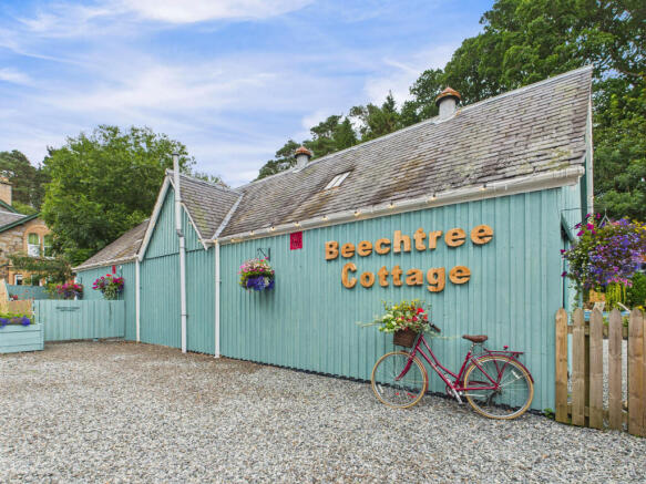 CAM03481G0-PR0115-STILL016