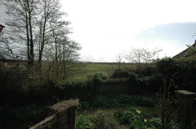 View from garden